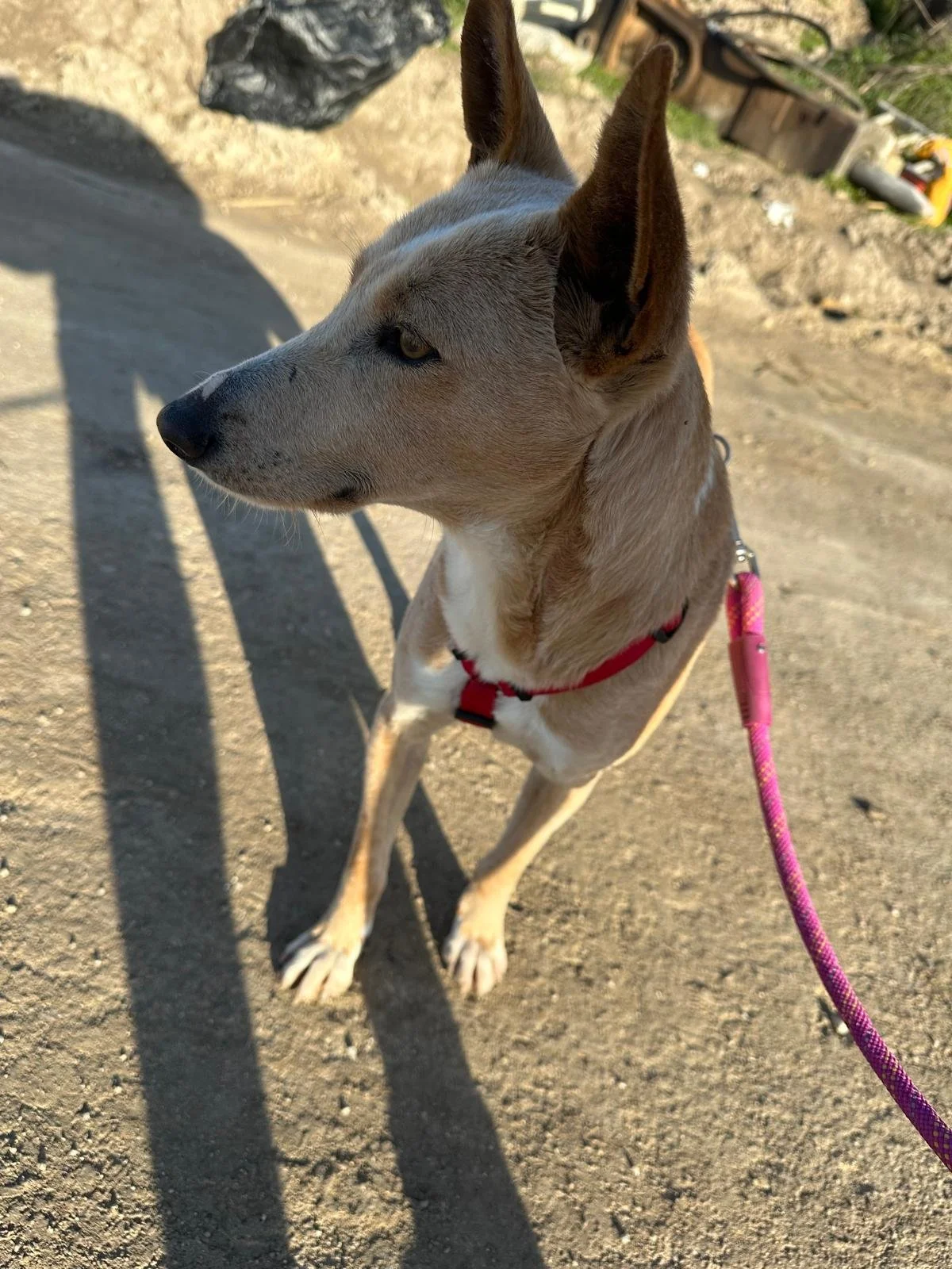 WhatsApp Image 2026-01-15 at 16.20.54 (1).jpeg