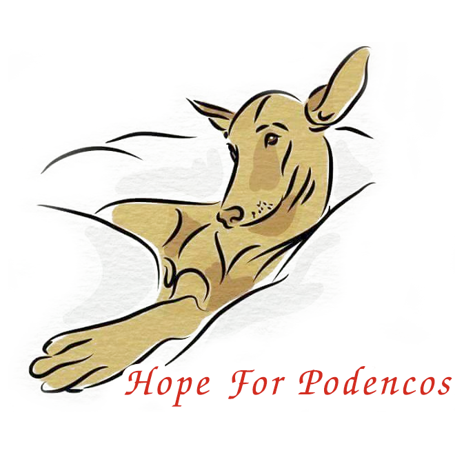 Hope for Podencos