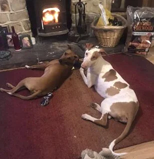 Bracken and Kirk
