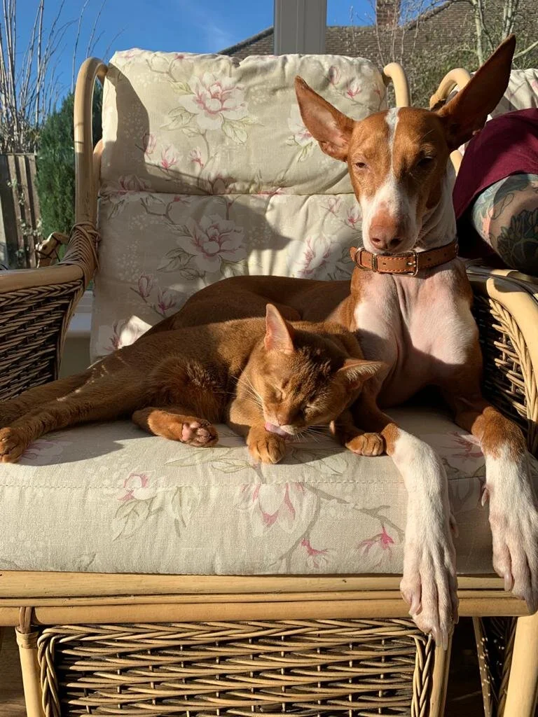 Lottie et Sorrell sur la chaise