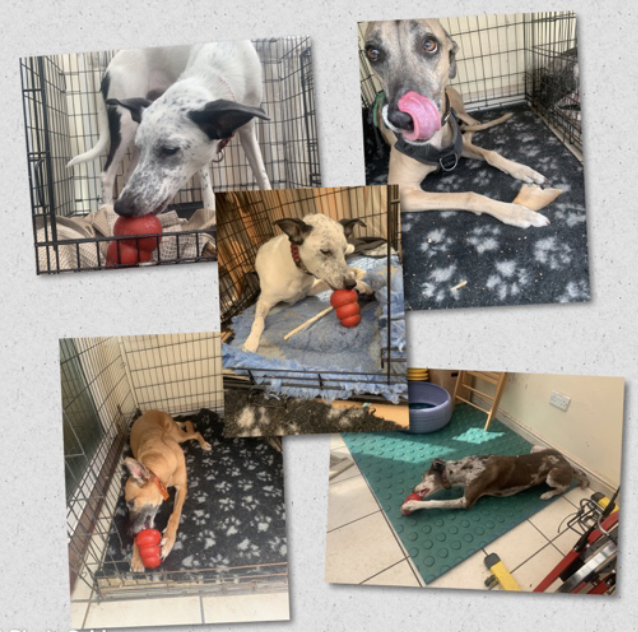 Capture d'écran 2020-05-16 à 10.51.06 pm.png