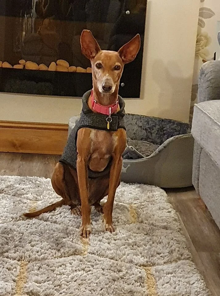 Wanda
