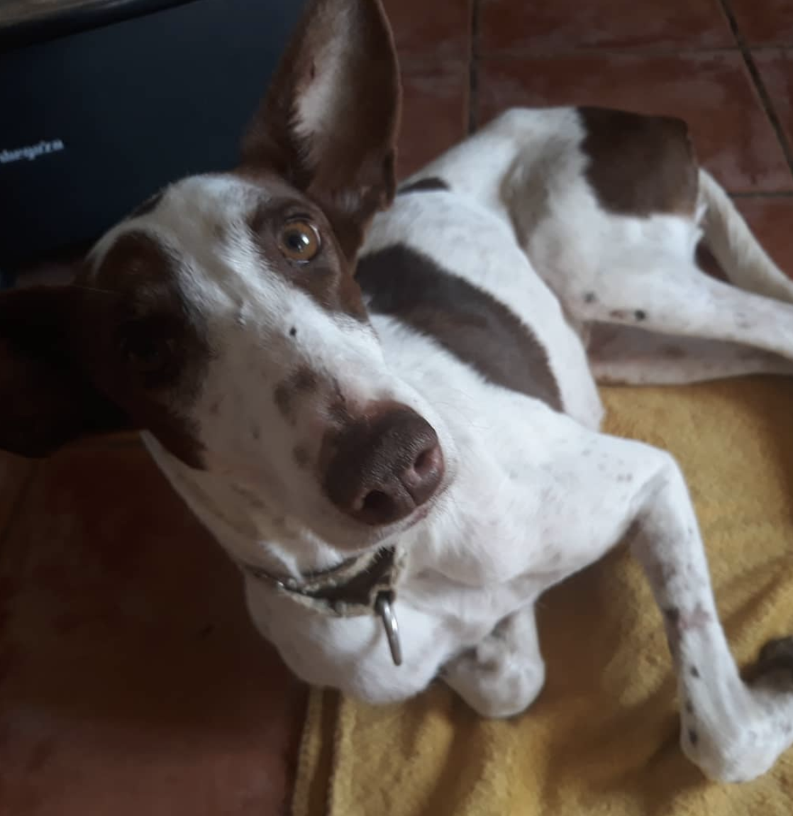 Just a little update on our Rita (with some backstory too!)