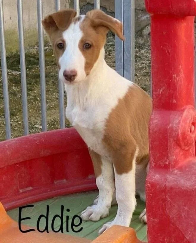 WhatsApp Image 2021-02-19 at 8.11.57 PM.jpeg