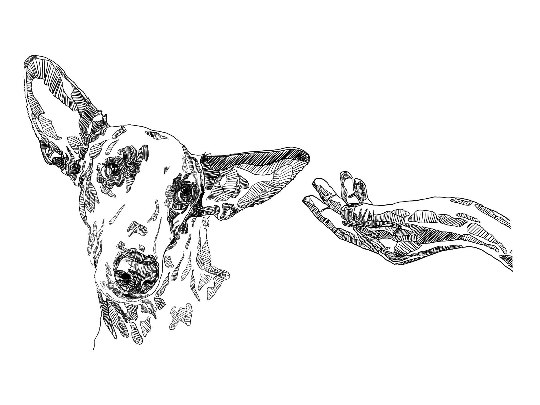 Rita - von Snootography