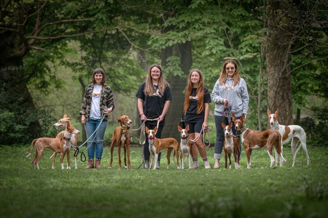 WhatsApp Bild 2023-05-22 um 10.55.31 PM.jpeg