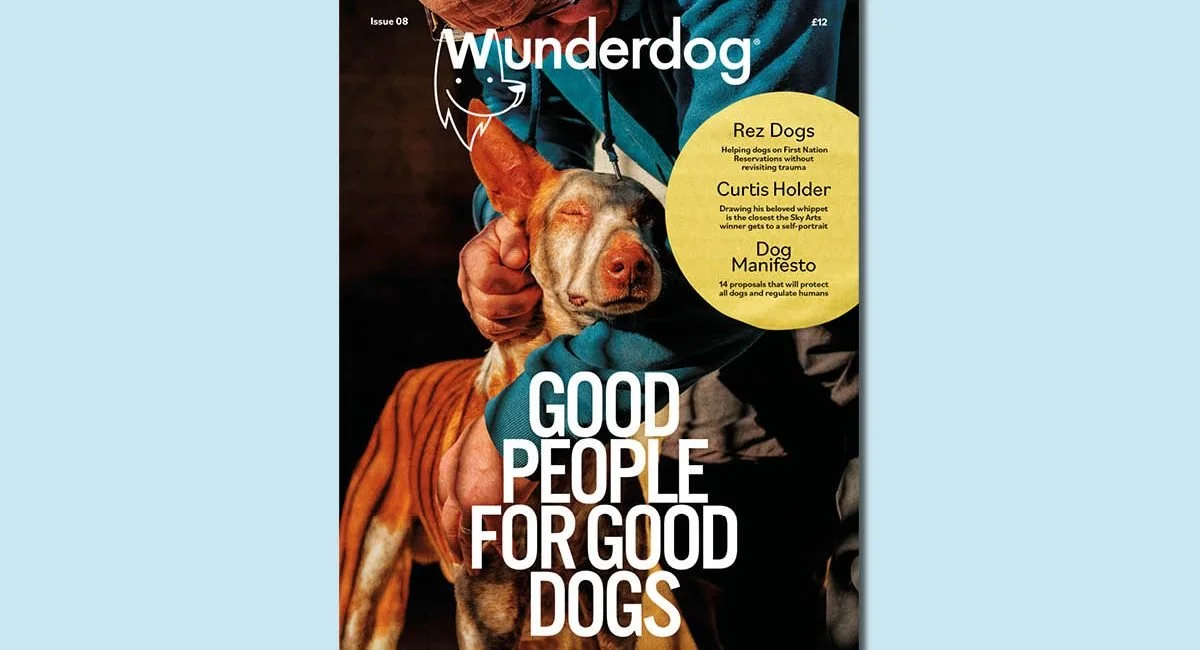 cover-8-for-newsletter-1200x650.jpg