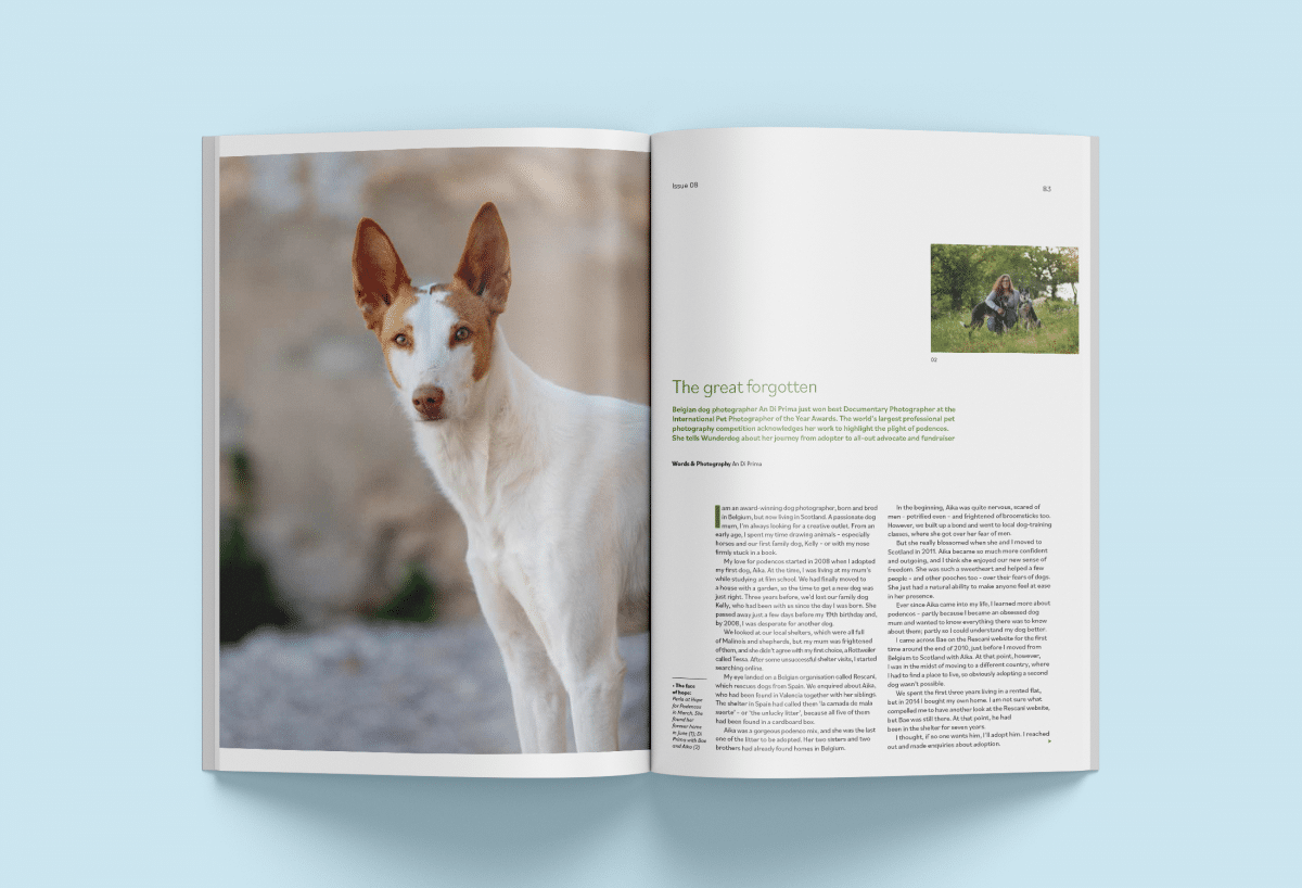 issue-8-podenco-opener-mockup-1200x818.png