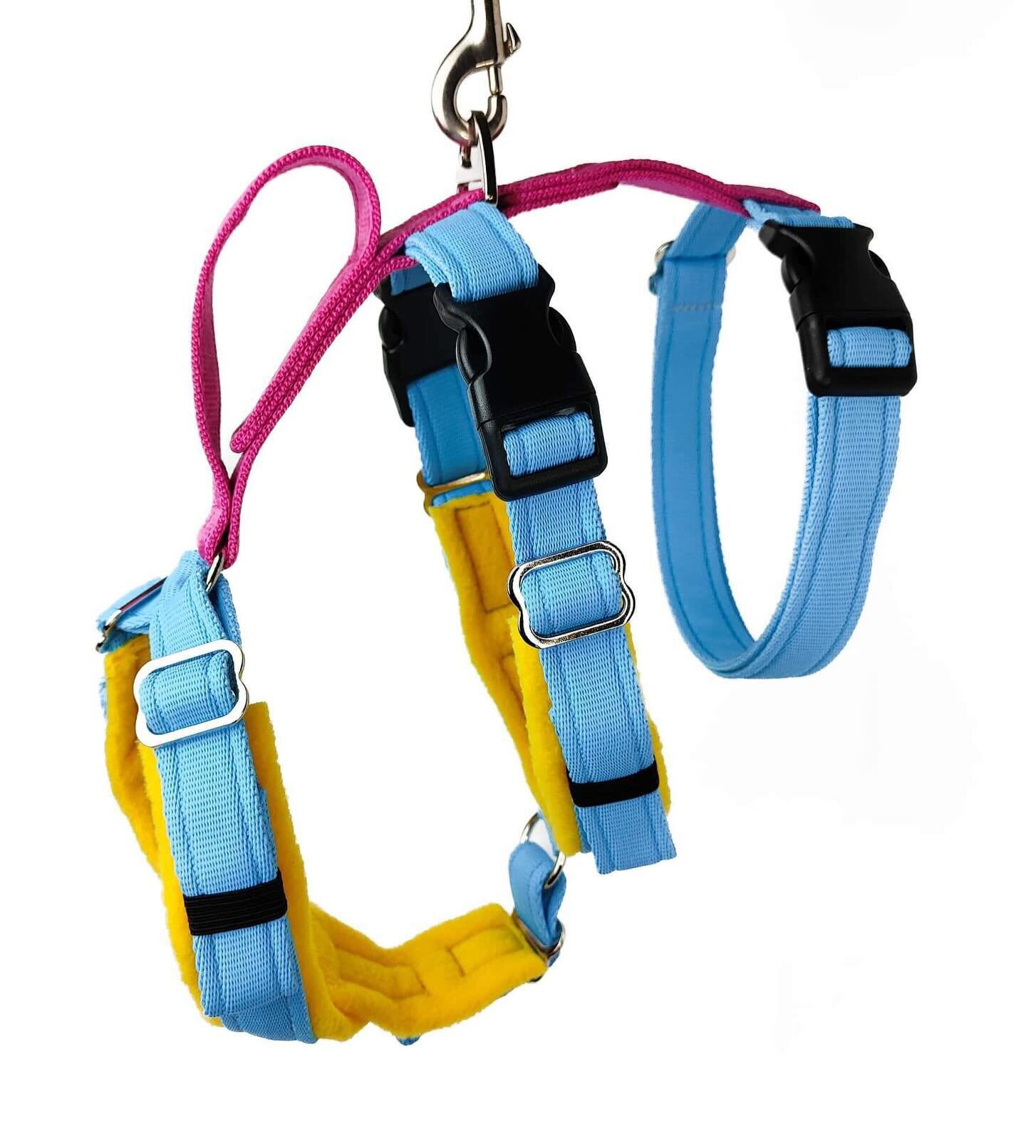 You all love our HFP Charity block colour collars from @houndheartcollars so much that we decided we needed a harness to match! So we tasked @indidog_uk with creating this beauty. A fully adjustable &lsquo;Houdini&rsquo; harness in our signature blue