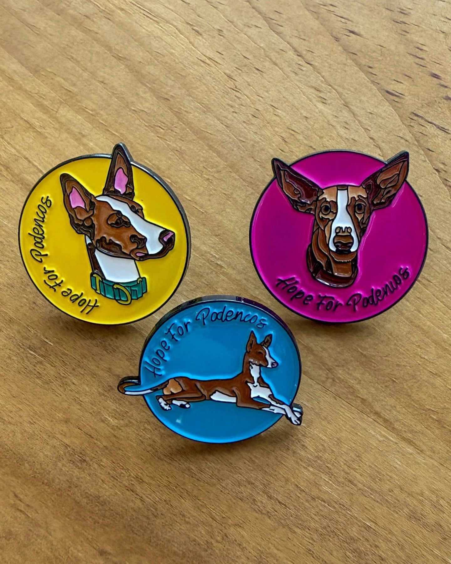 NEW MERCHANDISE! 🩷💛🩵

Introducing our new pin badges featuring designs by some of the wonderful artists that have supported us over the years, alongside a keyring showcasing our logo and our charity colours. The perfect gift for any podenco lovers