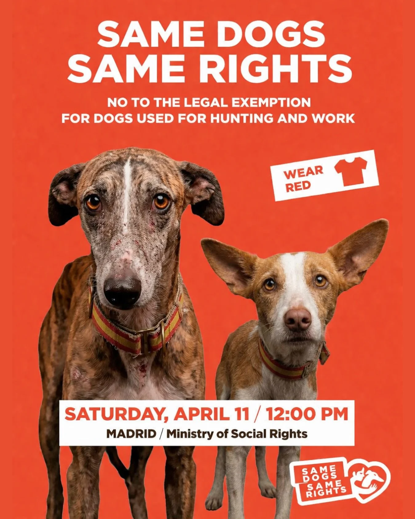 When you thought rescuing them was enough&hellip;

It&rsquo;s not.

Right now in Spain, dogs used for hunting are still excluded from basic animal protection laws.

Same dogs. Different rights.

New regulations are being decided right now that could 