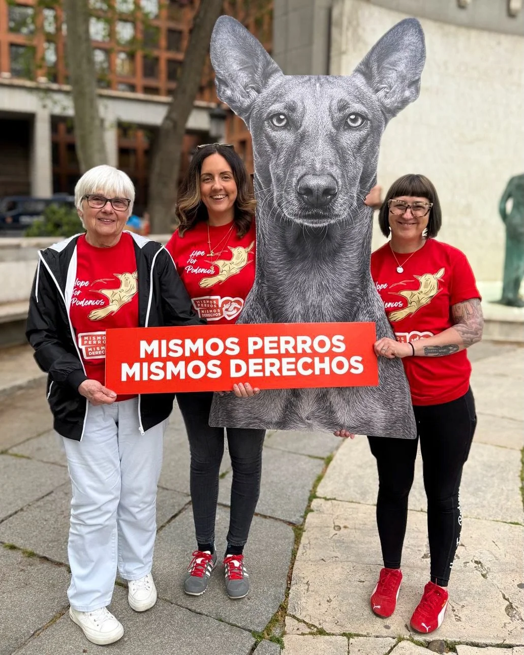 We flew from the UK to Madrid to join the @mismosperrosmismosderechos protest today. Because rescue alone is not enough.

We want to tell you about Willow.

Willow was a hunter&rsquo;s dog. She was hit by a car trying to escape him. Instead of care, 