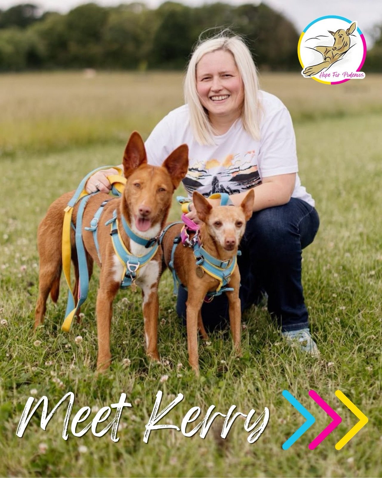 MEET KERRY

Next up in our Meet the Team series is Kerry, our newest Trustee 🩵🩷💛

Kerry first became involved with HFP as a foster, before gradually taking on more behind the scenes. With a background in finance, she started by helping us with the