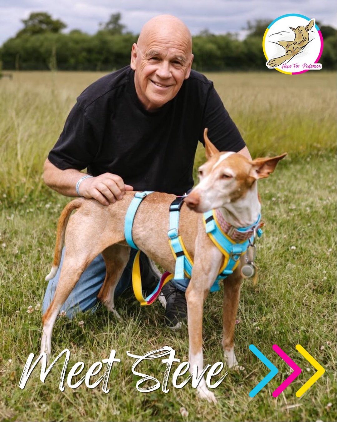 Next up in our Meet the Team series is Steve, co-founder of Hope for Podencos 🩵💛🩷

Alongside his late wife Irene, Steve created Hope for Podencos after seeing first-hand the harsh reality of how Podencos are treated in Spain and knowing they neede