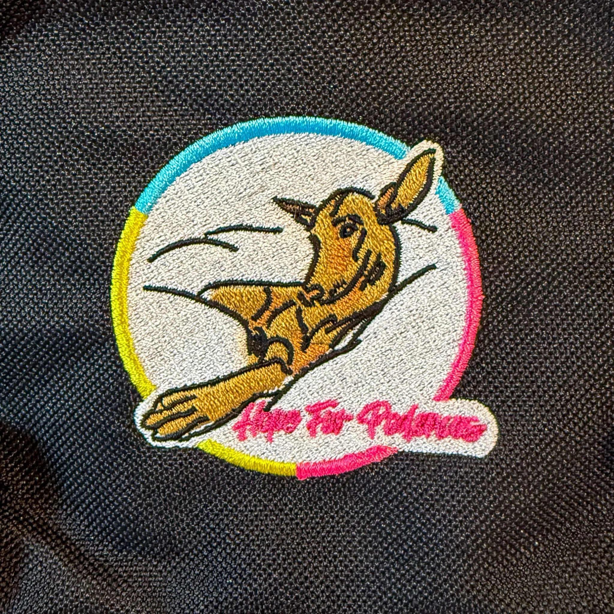Bum bag.jpeg