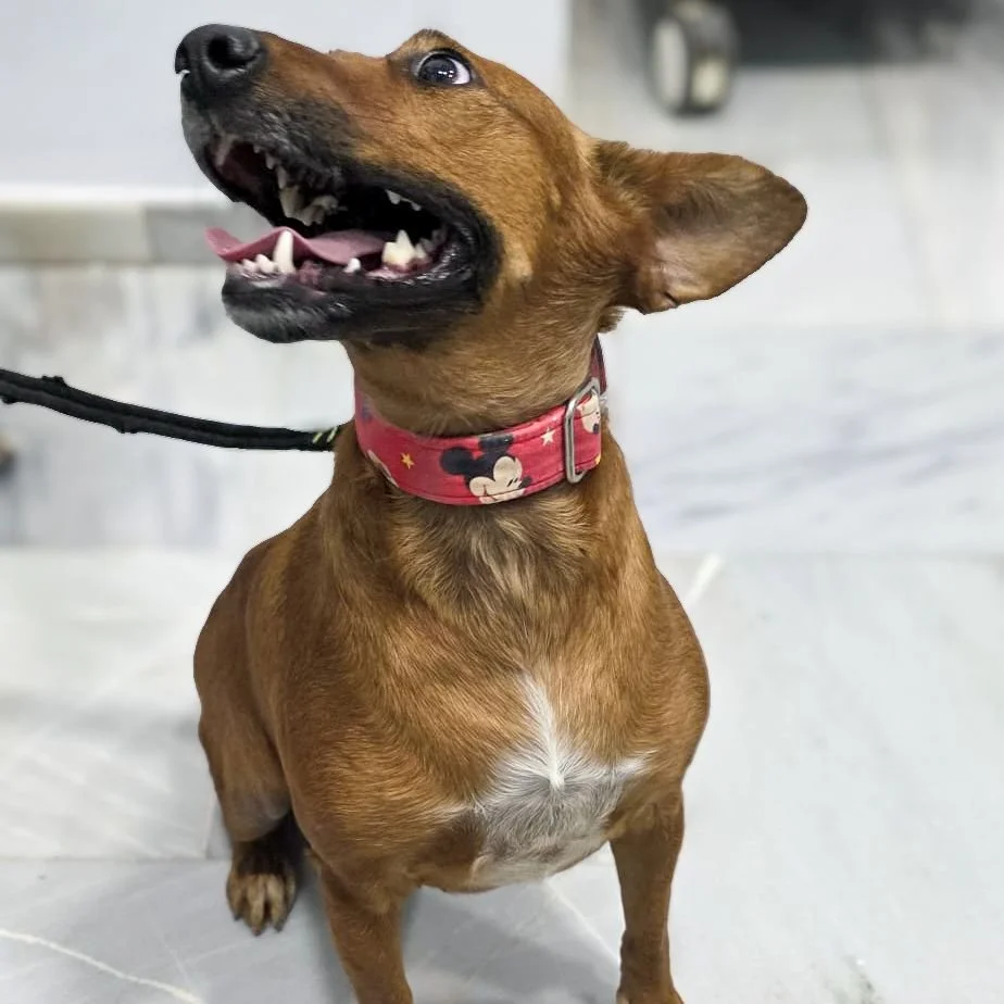 Yuffie14.jpeg