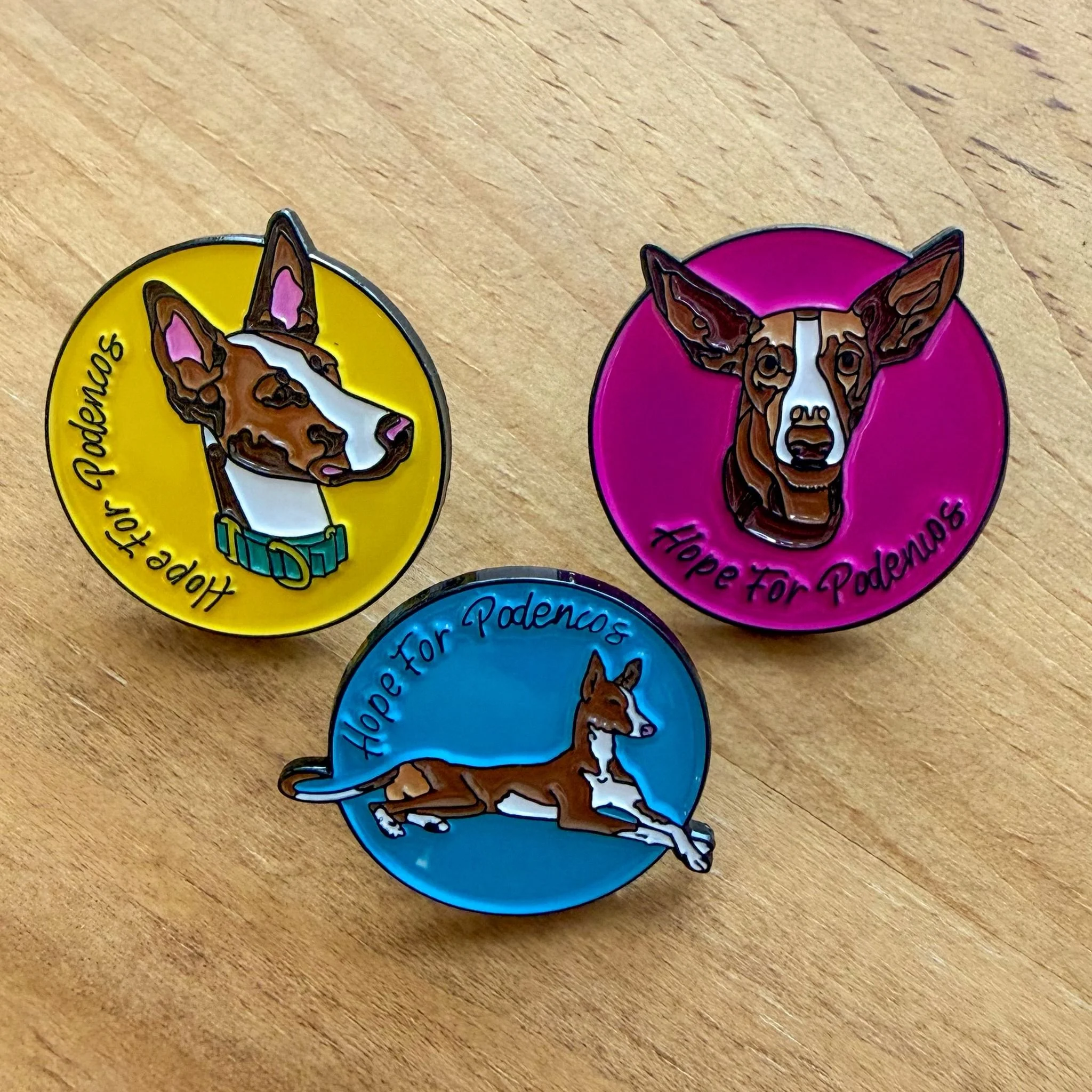 WhatsApp Image 2026-02-28 at 20.41.34 (2).jpeg (Copy) (Copy)