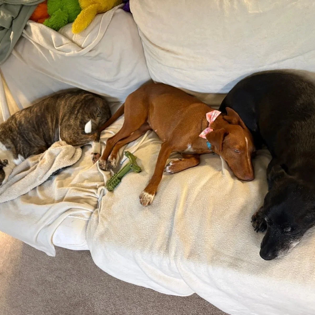 WhatsApp+Image+2026-08-30+at+19.31.06.jpg