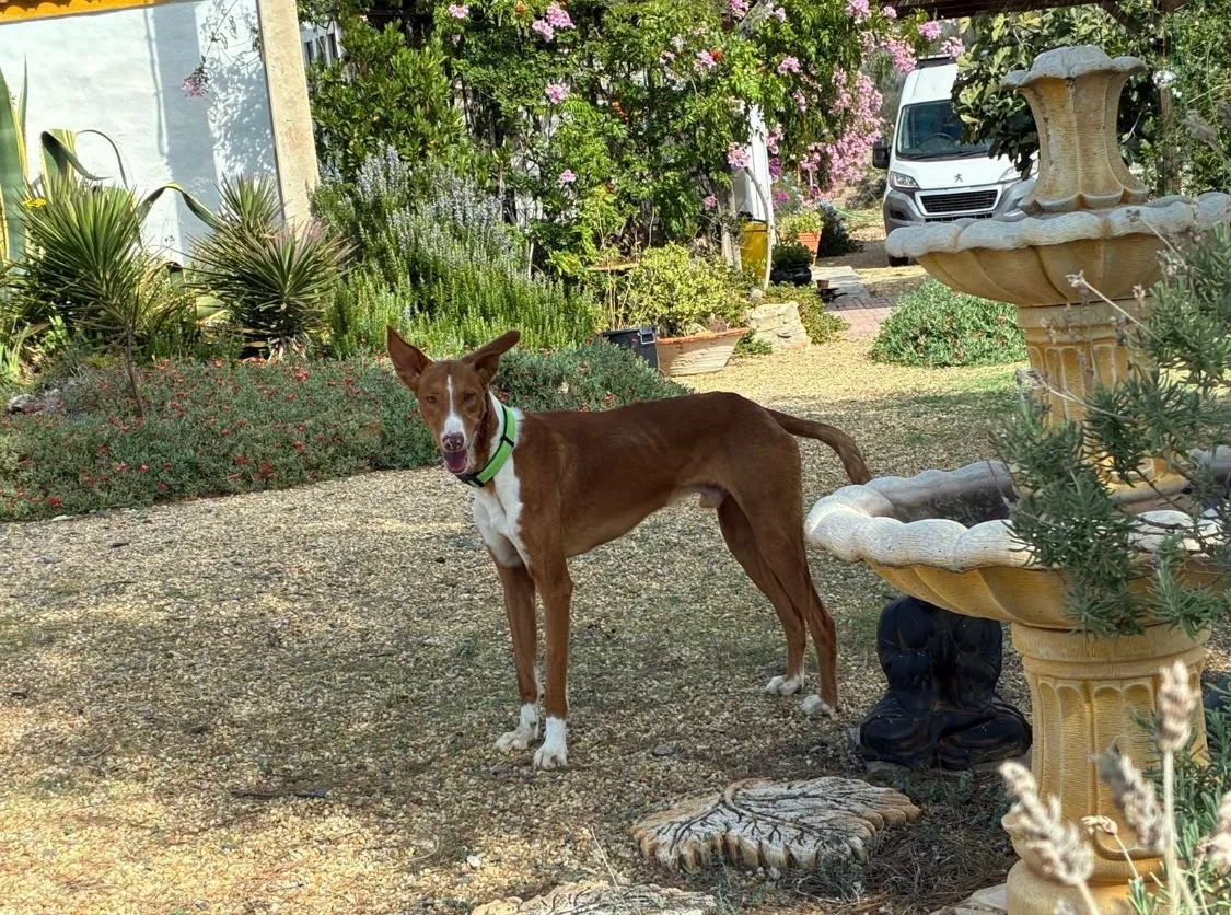 WhatsApp Image 2026-01-26 at 08.58.46.jpeg