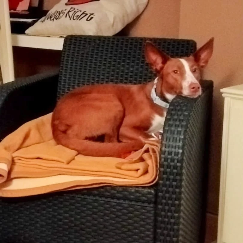 Rusty6.jpeg