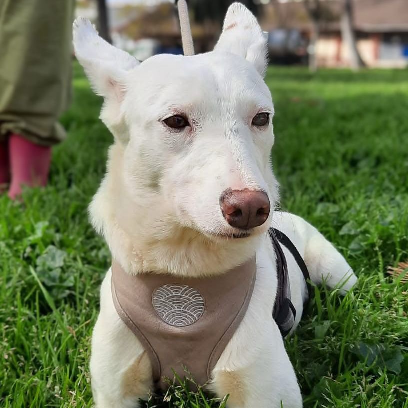 Blanca8.jpg