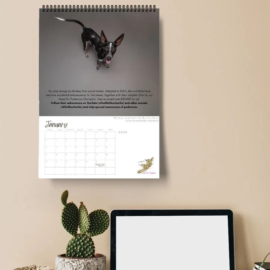 WhatsApp Image 2025-09-29 at 19.54.55.jpeg