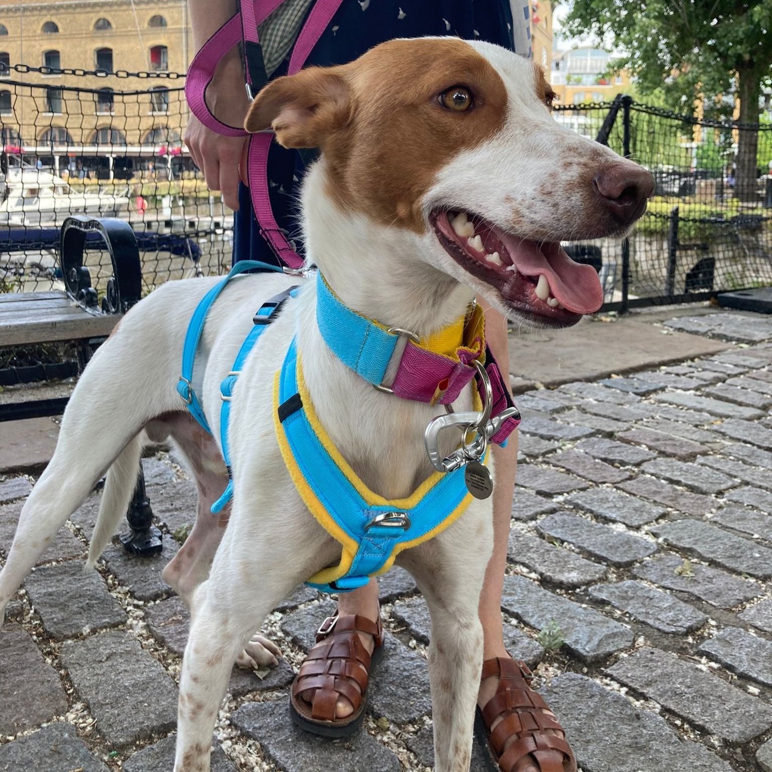 Max - UK