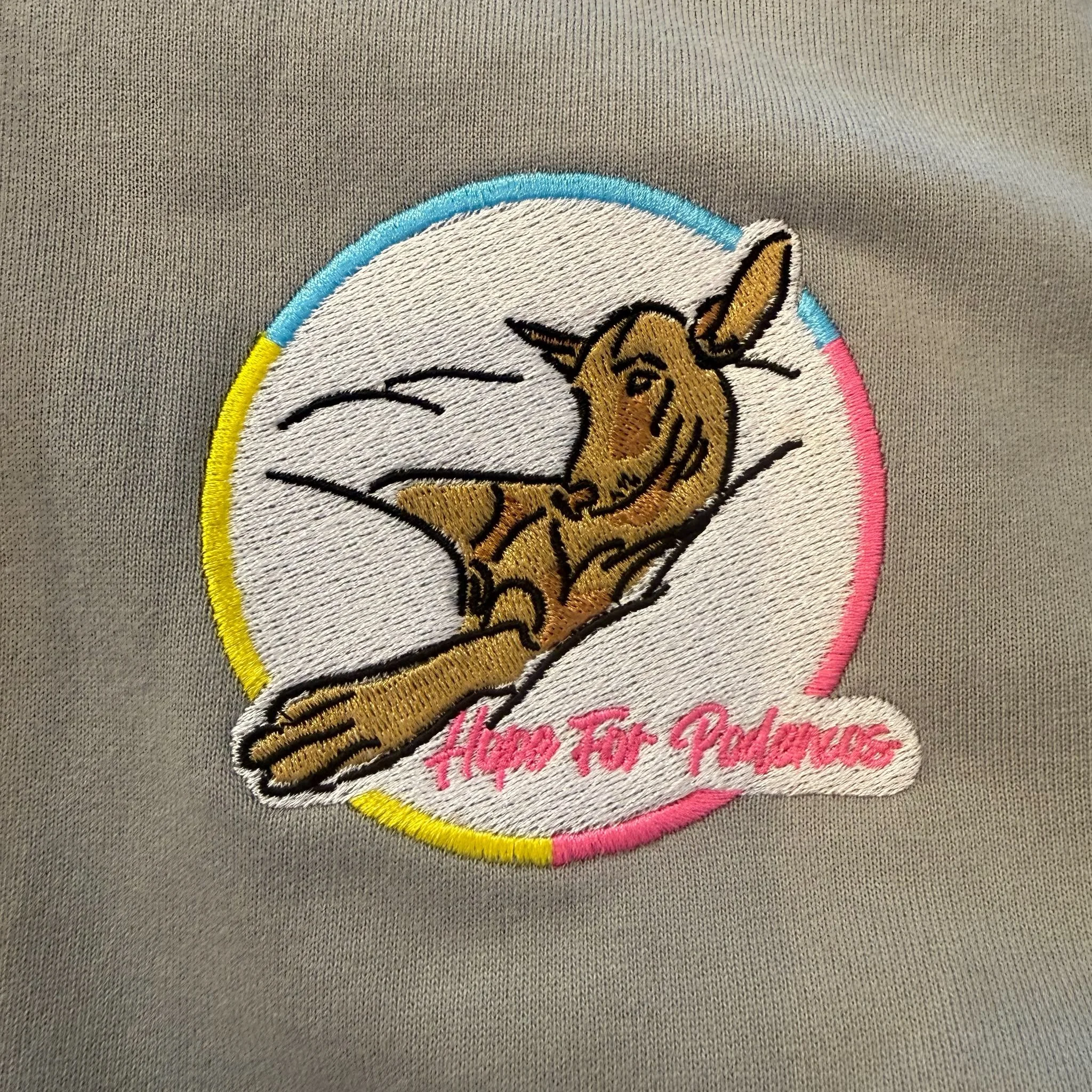 Grey zip up hoodie.jpeg
