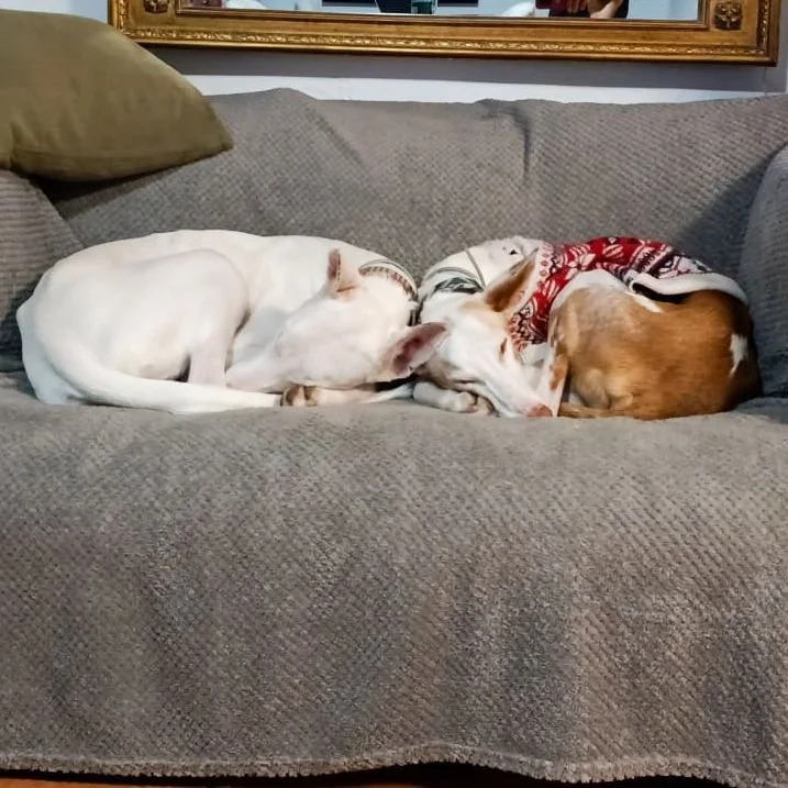 Darwin and Trent.jpeg