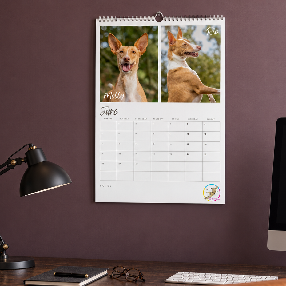 Calendar 4.png