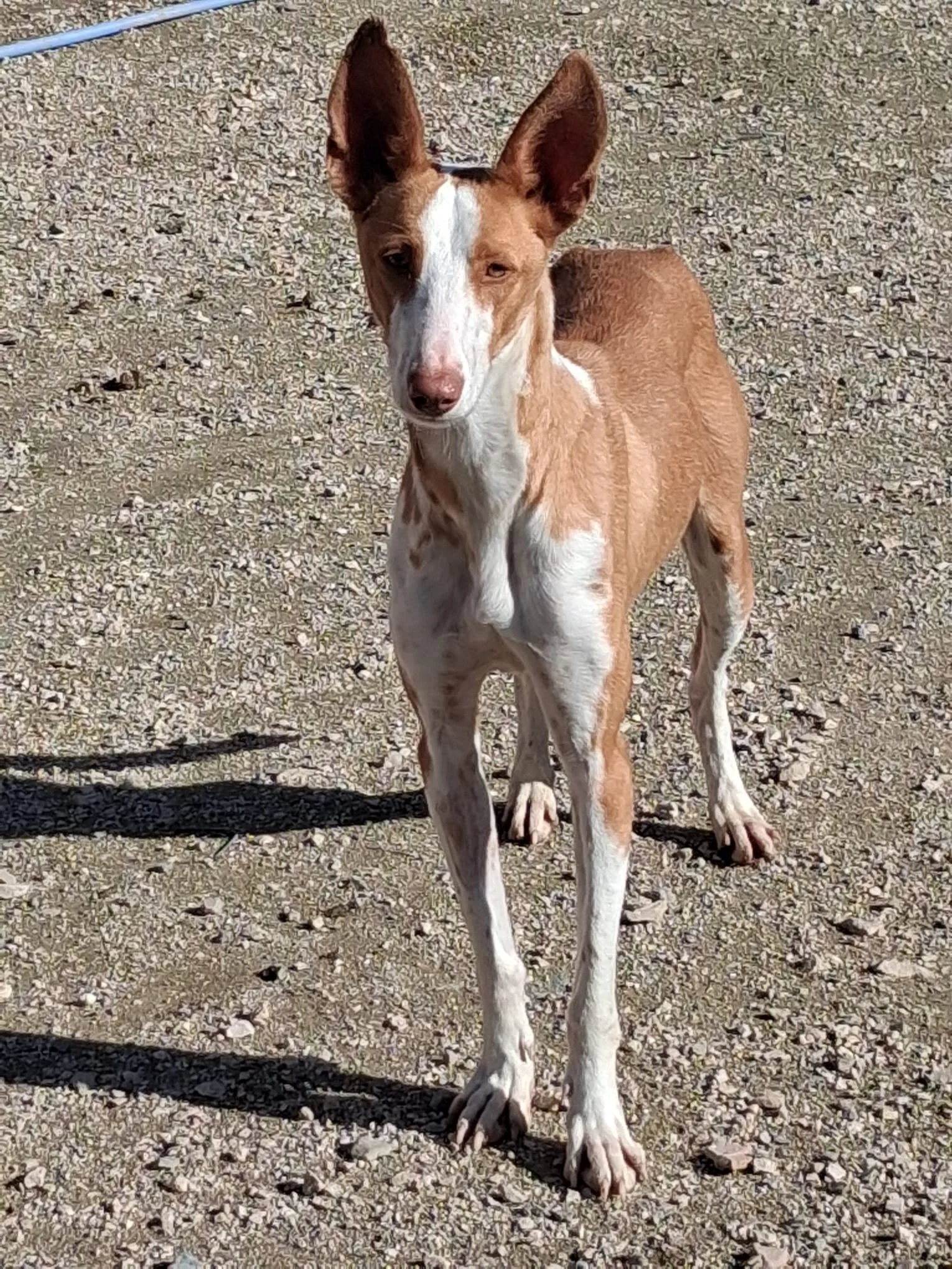 WhatsApp Image 2026-01-20 at 17.55.23.jpeg