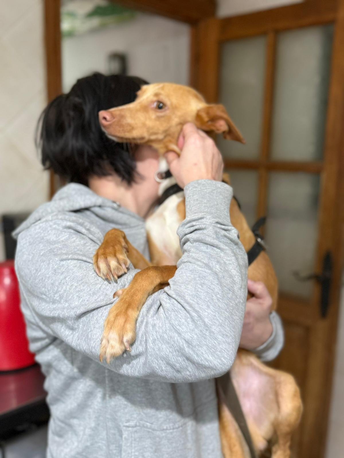 WhatsApp Image 2026-02-14 at 16.03.40.jpeg