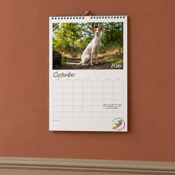 Calendar 1.png