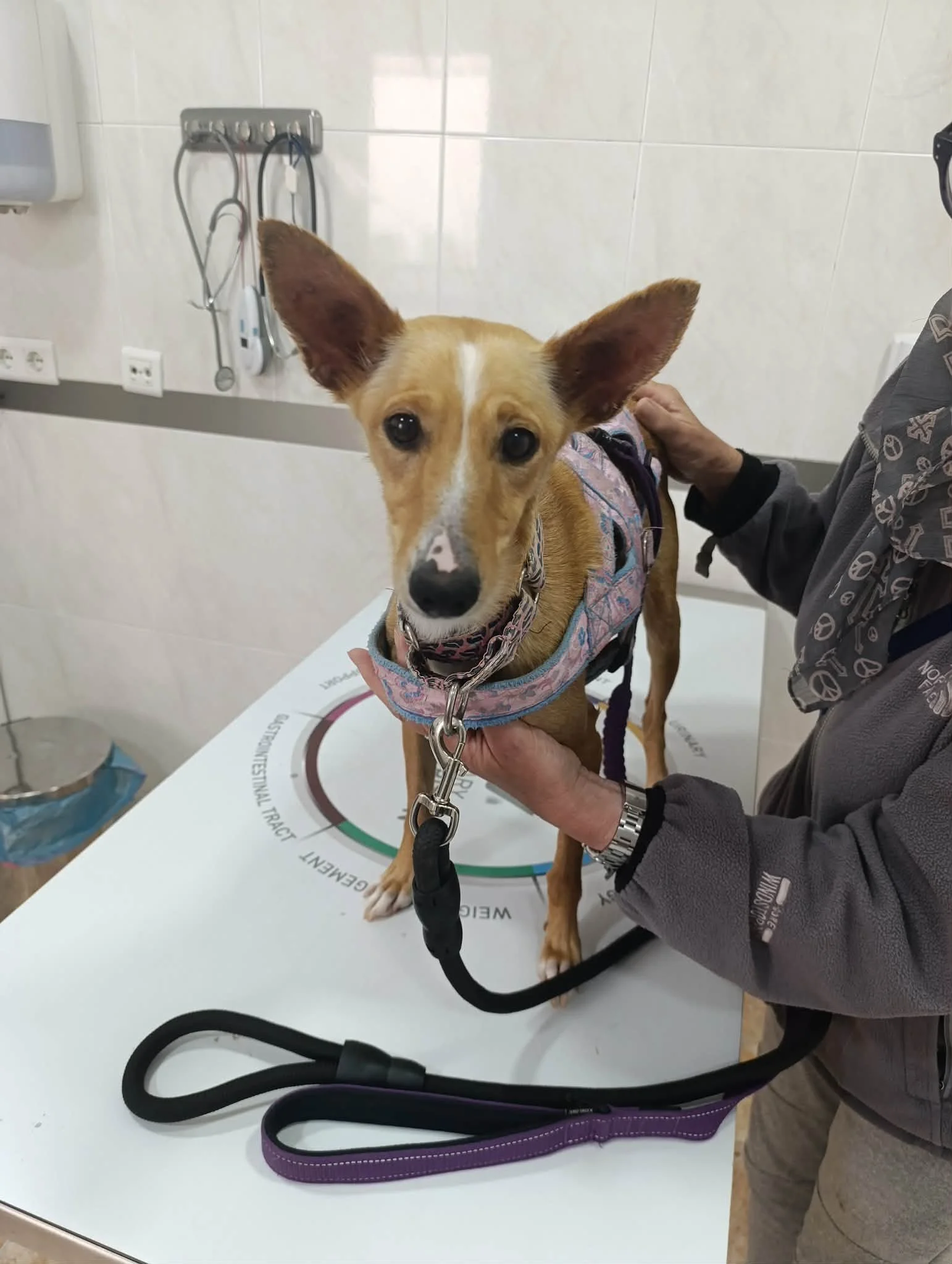 WhatsApp Image 2026-03-30 at 16.22.39.jpeg