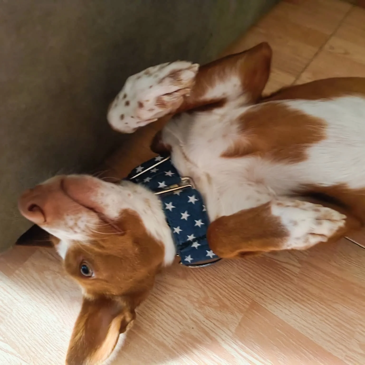 Rusty3.jpeg