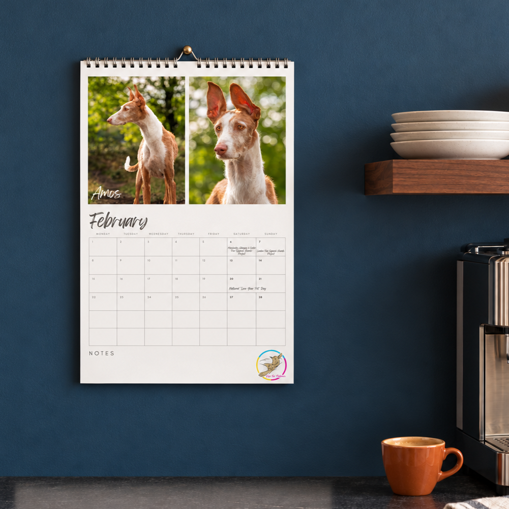 Calendar 3.png