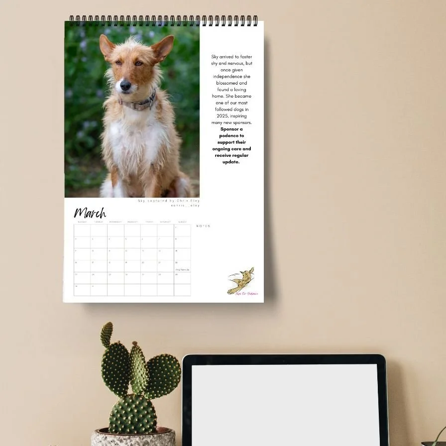 WhatsApp Image 2025-09-29 at 19.54.55 (1).jpeg