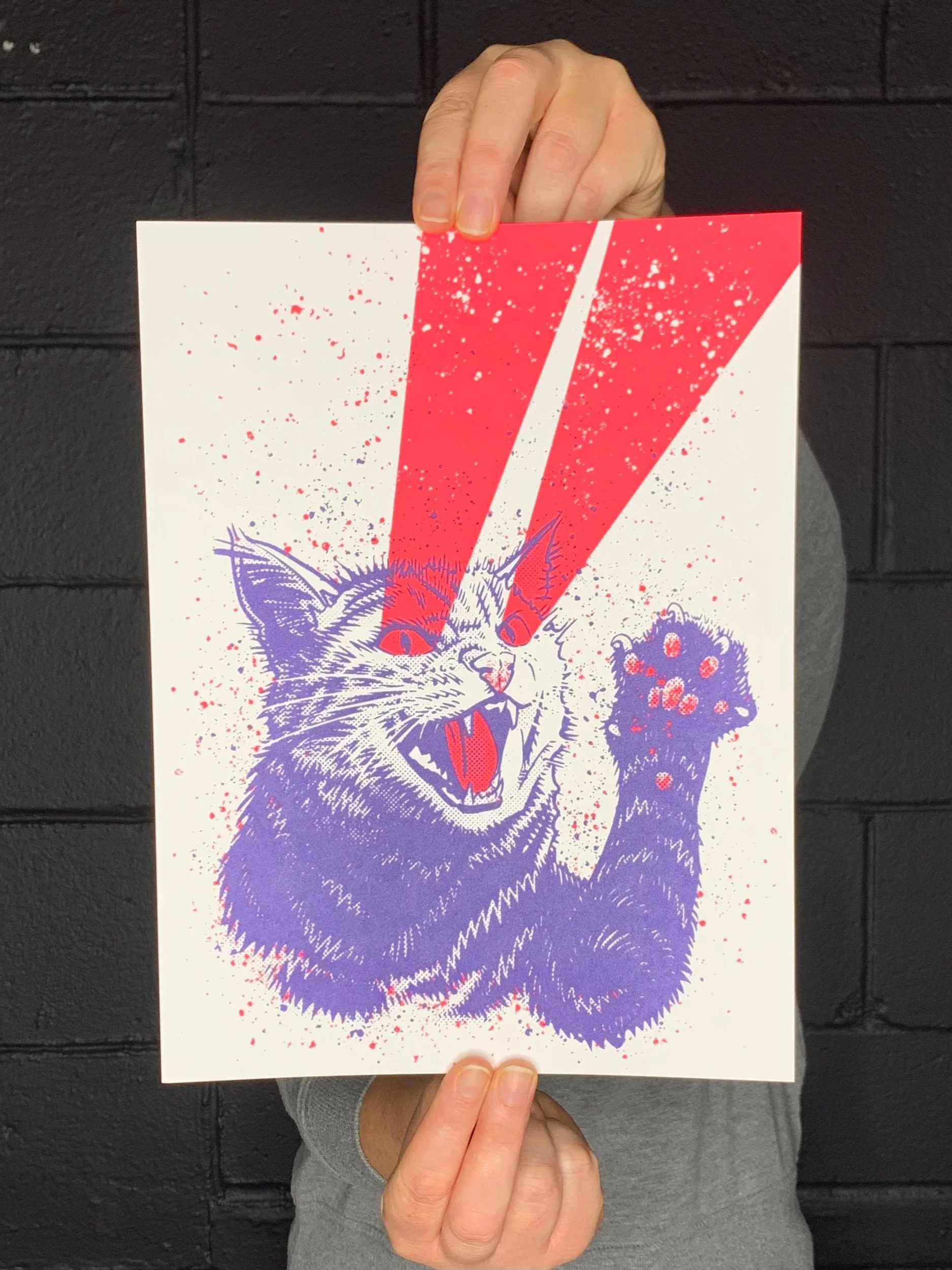 Ben Nylen: Cat Lazor