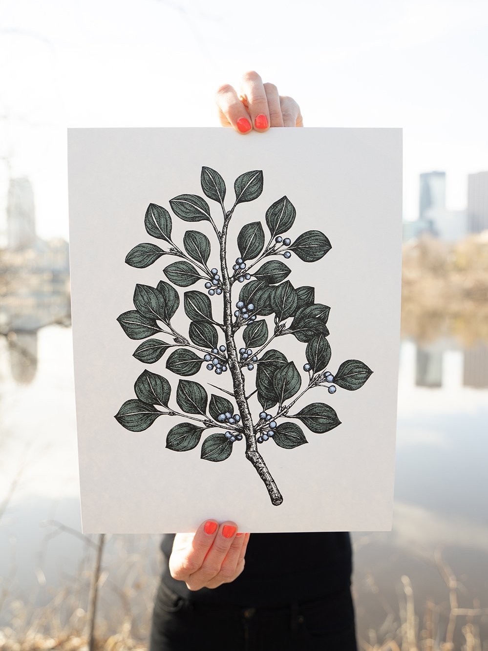 Buckthorn-kim.jpg