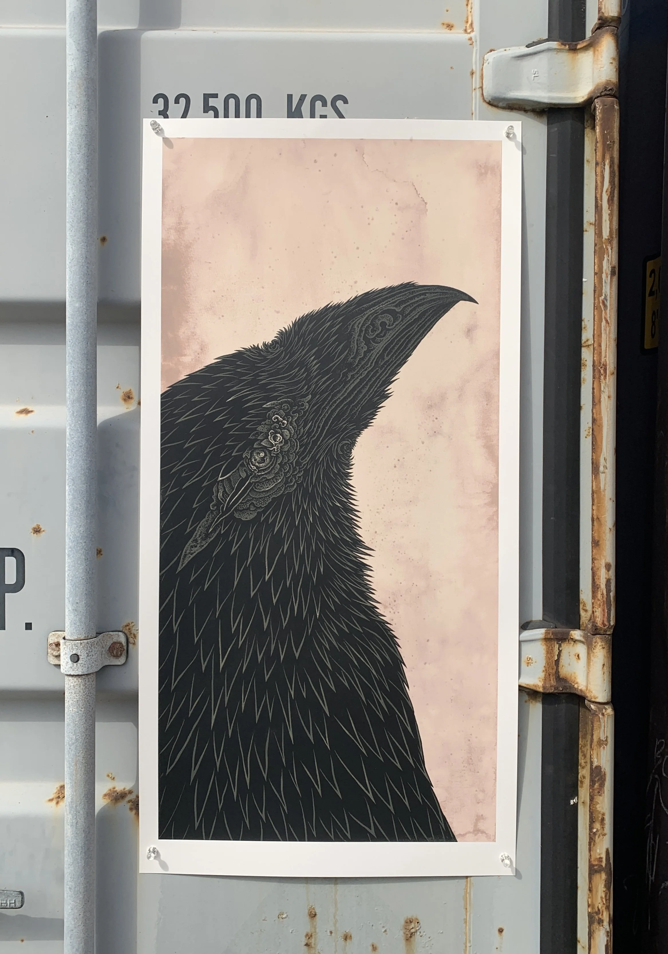 TH-raven-1.jpg