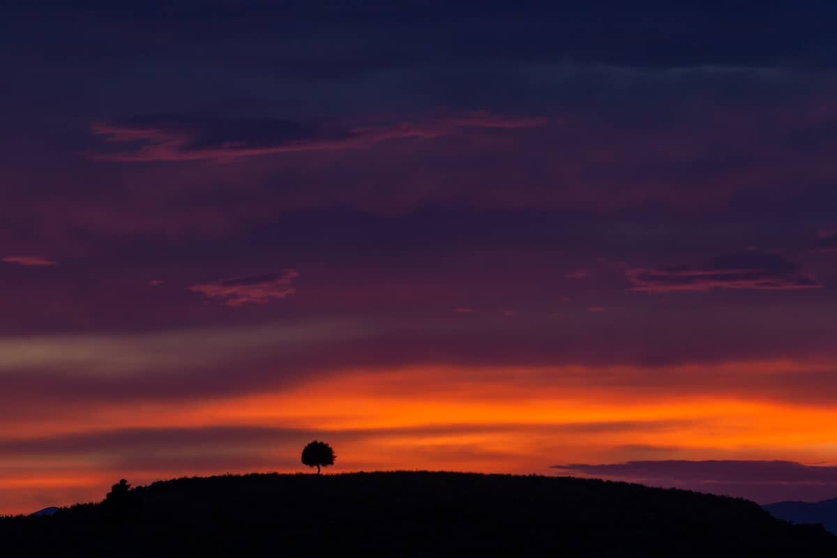 The lonely tree.. 
. 
. 
. 
. 
#tree #treesofinstagram #treephotography #sunsets #argolisphotographers #sunsetlovers #sunsetphotography #sunsets_captures #sunset #sunsetlover #sunset_madness #sunsetgram #sunsets_oftheworld #sunsetporn #sunset_ig #sun