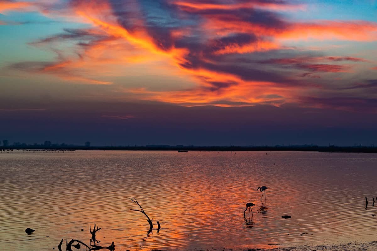 #sunsetlovers #sunsetphotography #sunsets #sunsets_captures #flamingo #flamingos #greece_moments #greecestagram #thessalonikimoments #thessaloniki_city ##kalochori #colors #canon5dmarkiv #canongreece #liveforthestory