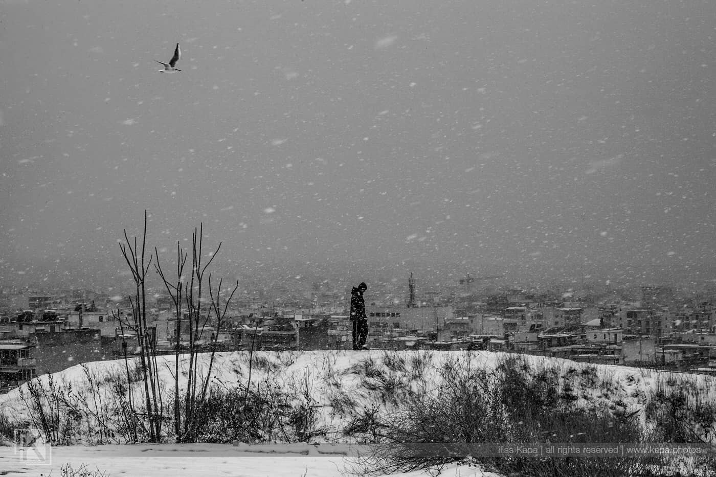 #thessaloniki_today #thessaloniki_art_gate #thessaloniki #thessalonikimoments #snowing #snow #snowlovers #wintermood #foggymorning #silhouette #seagullsofinstagram #seagull #canongreece