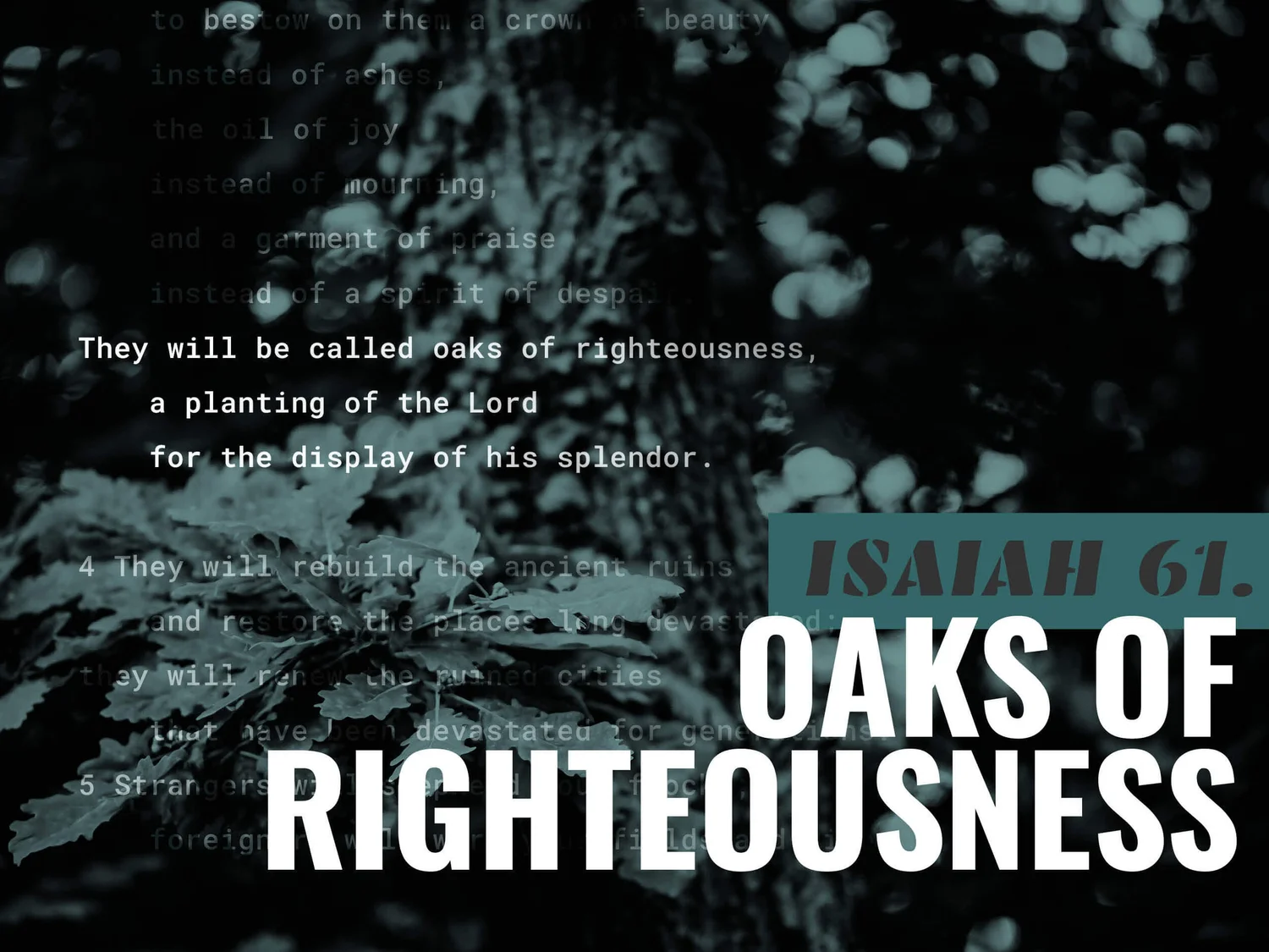 Isaiah 61 | Oaks of Righteousness episode artwork