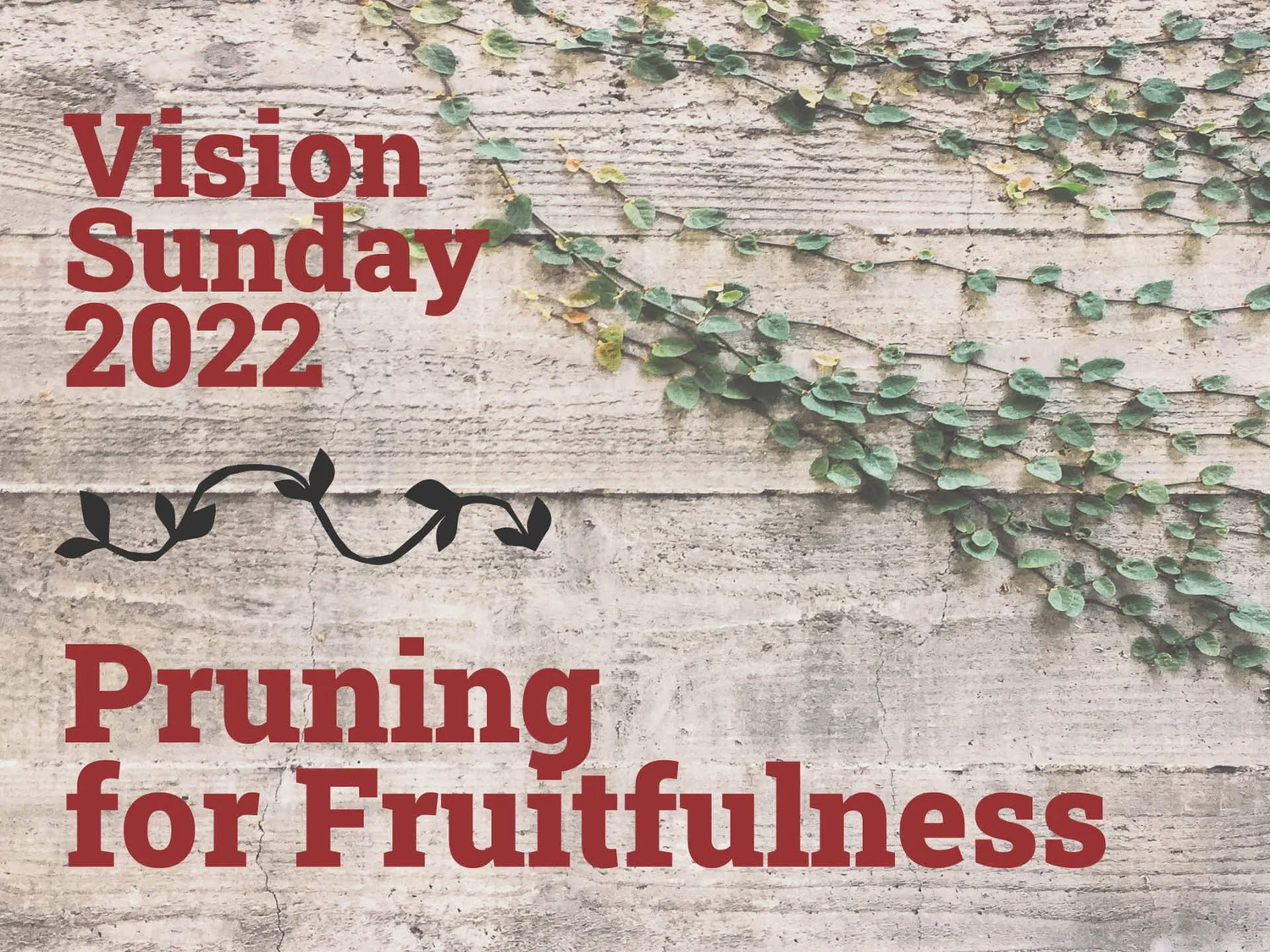Vision Sunday - Pruning for Fruitfulness episode artwork