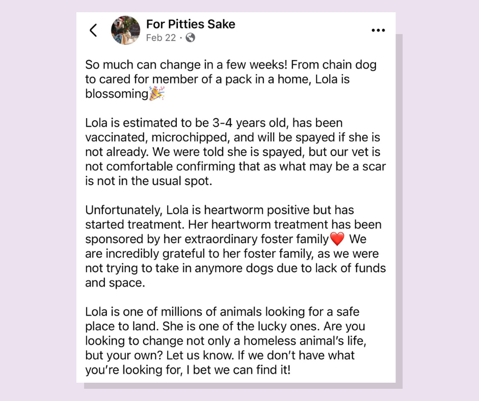 Lola Message.png