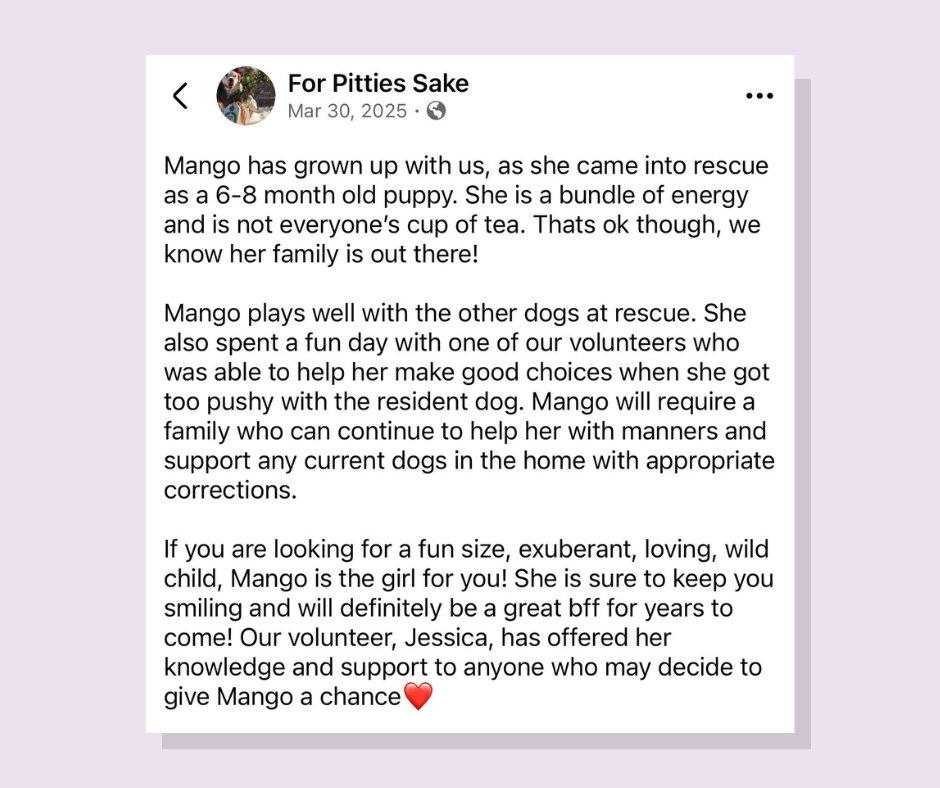 mango message.png