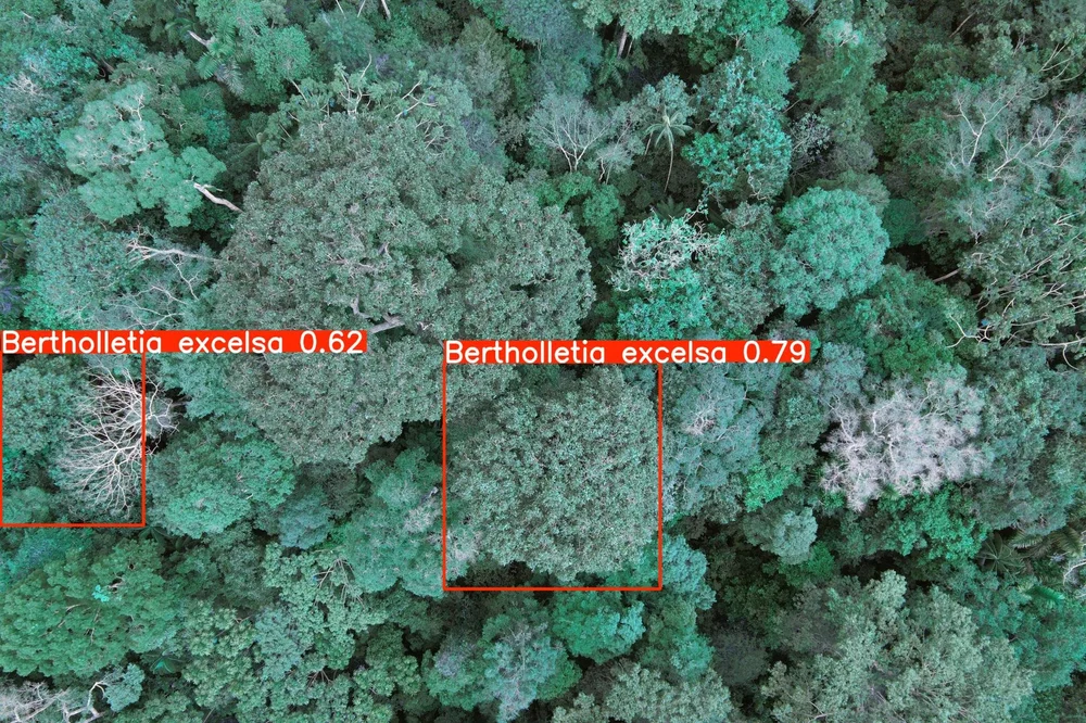 DJI_0008_segmentation.JPG