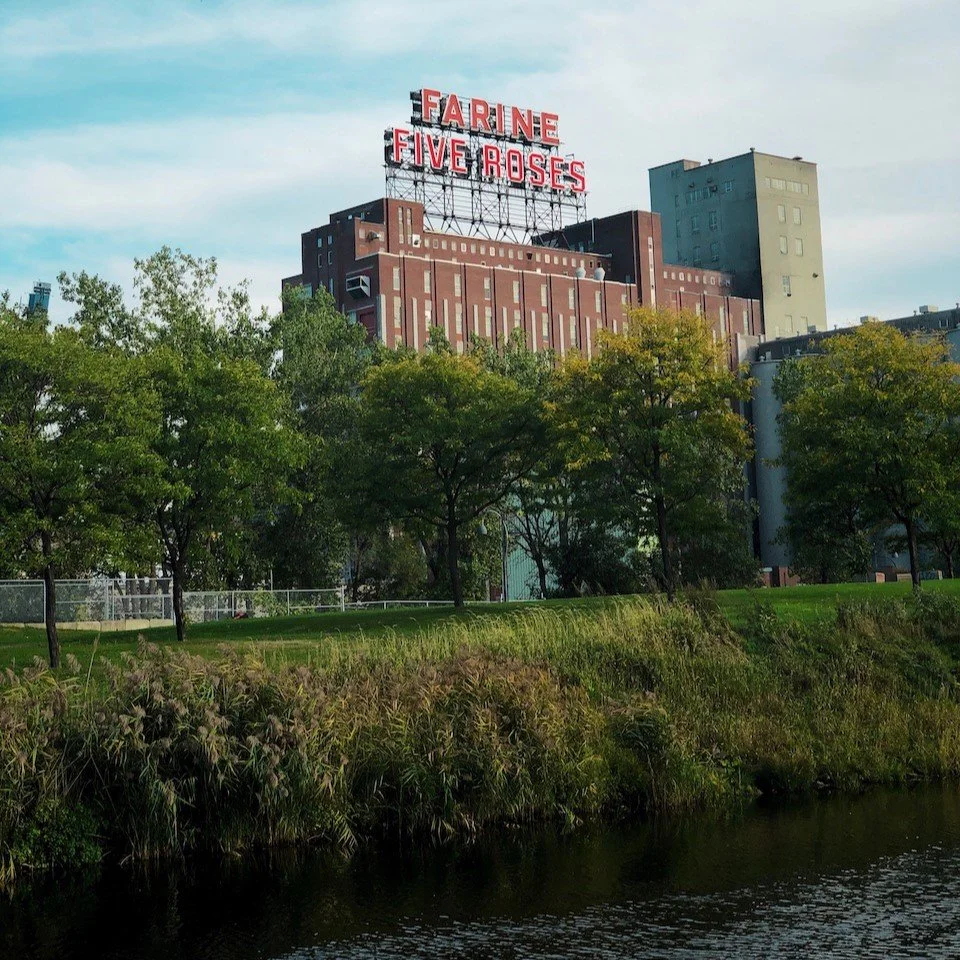 olivier-collet-0sJ1M0Cx7Fk-unsplash - web.jpeg