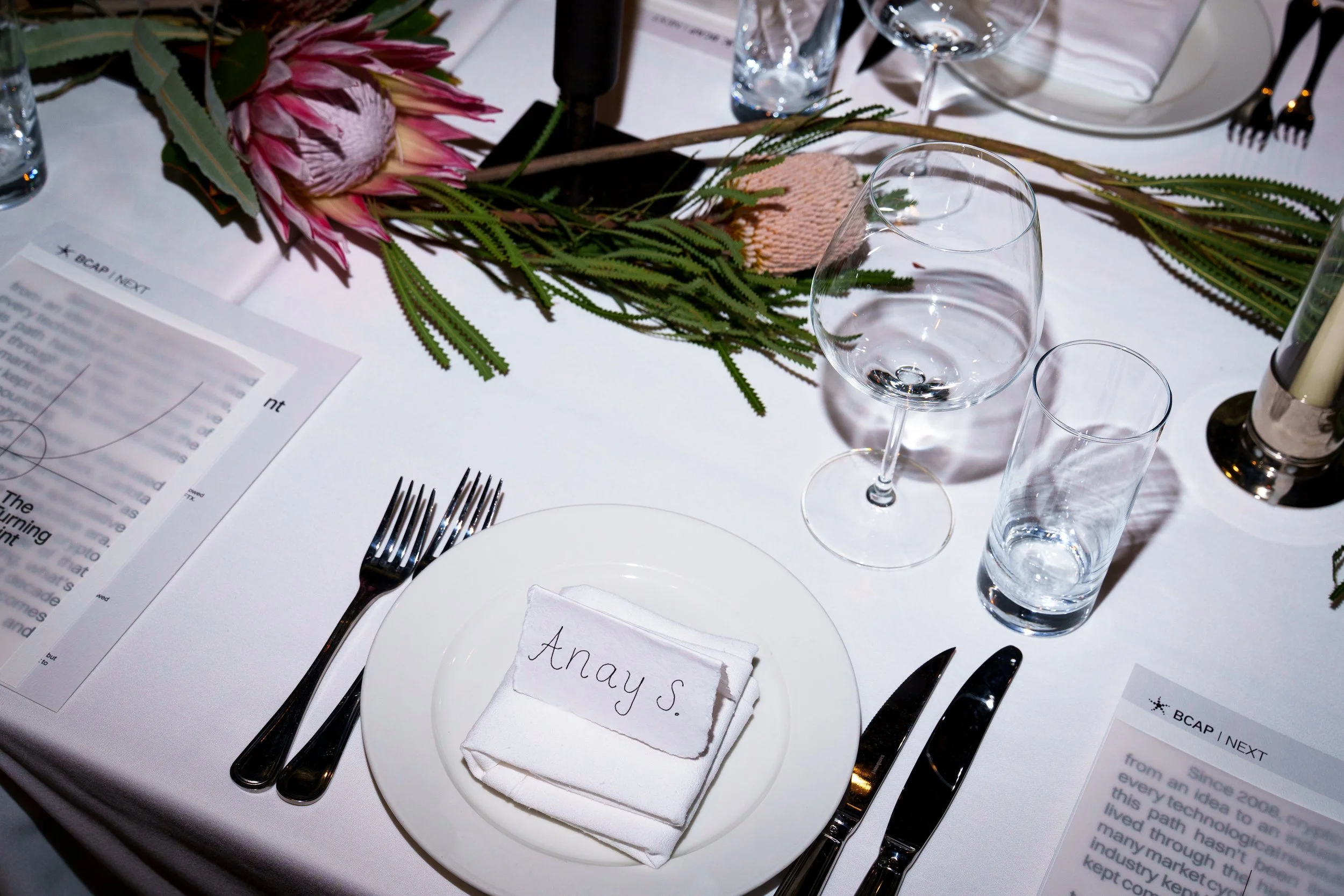 LHW_BCAP_SAA_DINNER_FEB_FULL_TAKE_5.jpg